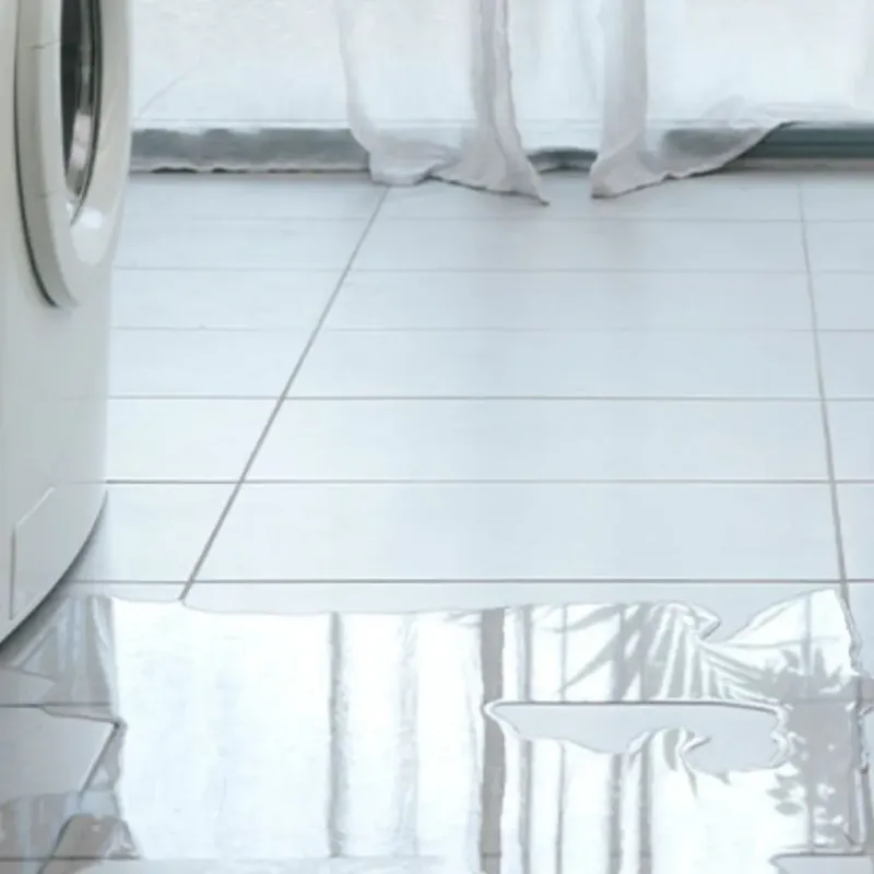 Appliance Leak Cleanup in Louisville, GA