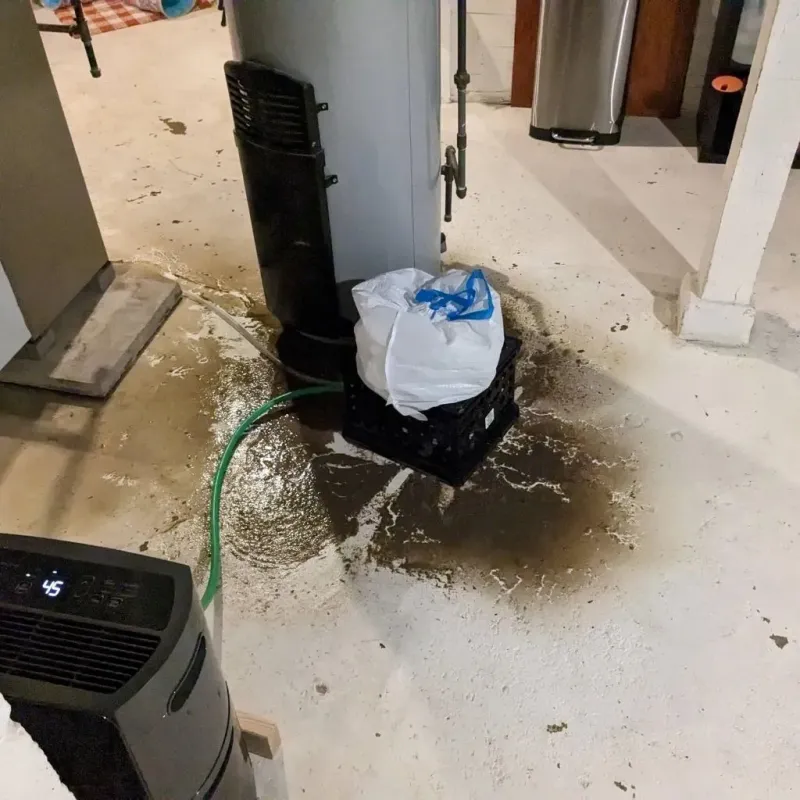 Sewage Backup Cleanup Service in Louisville, GA